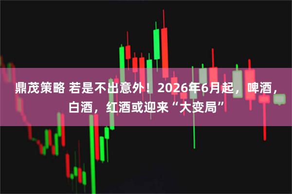 鼎茂策略 若是不出意外！2026年6月起，啤酒，白酒，红酒或迎来“大变局”