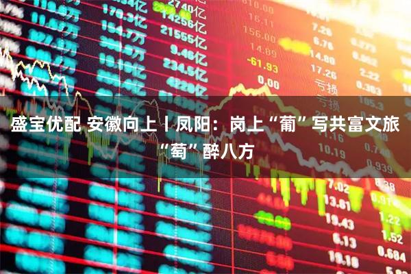 盛宝优配 安徽向上丨凤阳：岗上“葡”写共富文旅“萄”醉八方