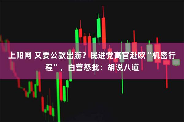 上阳网 又要公款出游？民进党高官赴欧“机密行程”，白营怒批：胡说八道